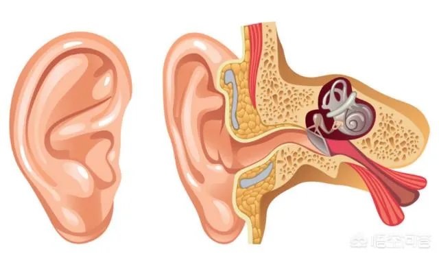 听力损伤都有哪些原因？