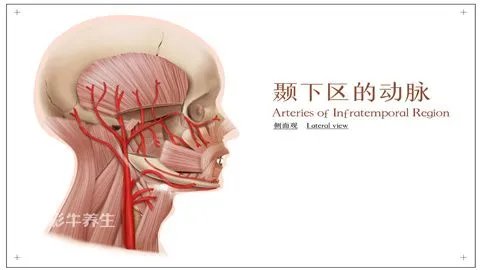 挂钩疼怎么自愈