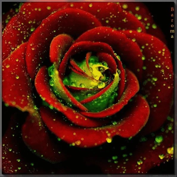 最好看的古装剧都有哪些？