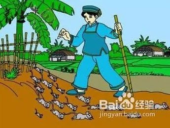 地震发生时应当如何保护自己?