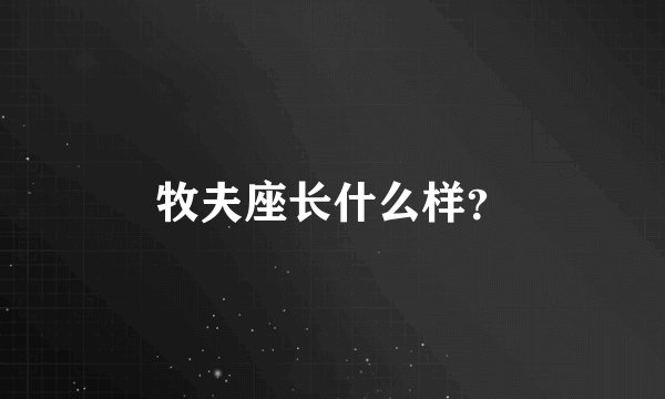 牧夫座长什么样？