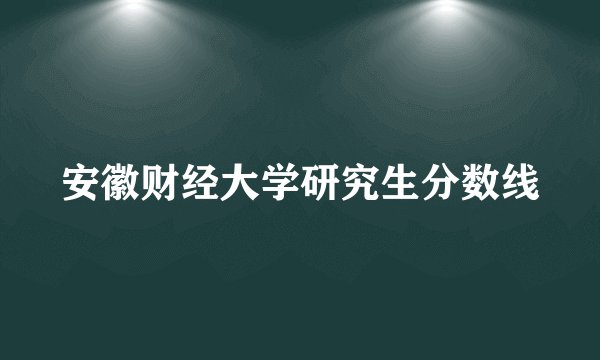 安徽财经大学研究生分数线