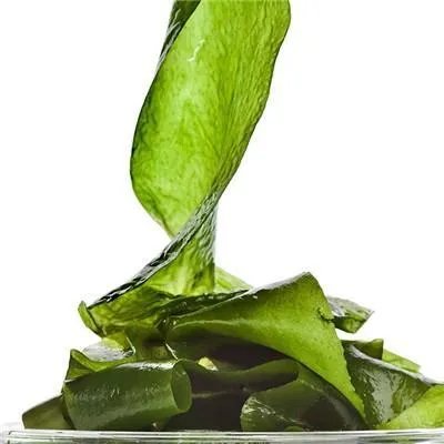 宫外孕是由什么引起的