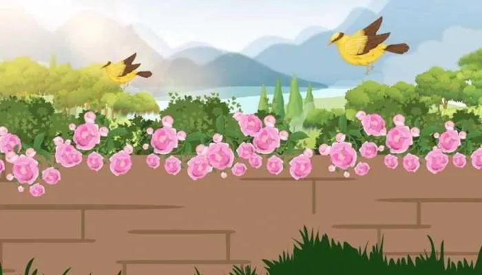 2023年带来好运网名 2023年好运又吉利的网名