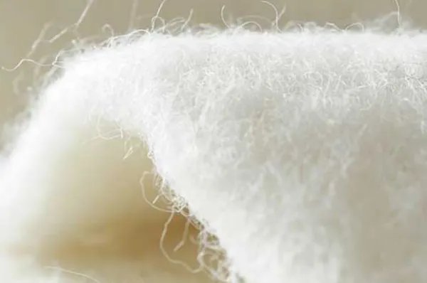 羊驼毛和羊毛哪个好