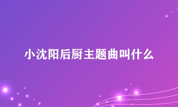 小沈阳后厨主题曲叫什么