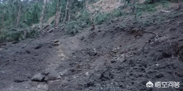 巴基斯坦击落印度战机,这次为什么敢和印度硬碰硬了?