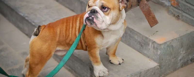 抖音网名男生好听最火2021 2021抖音火爆昵称男生