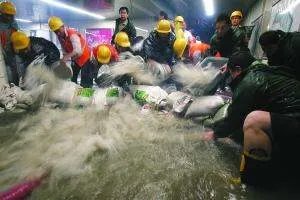 郑州大雨地铁死了多少