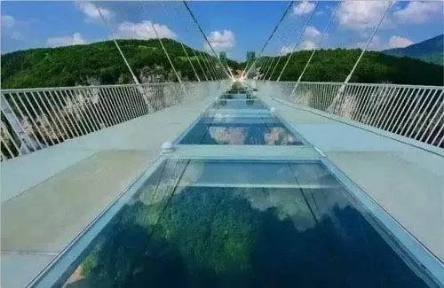 张家界有什么好的旅游公司吗？