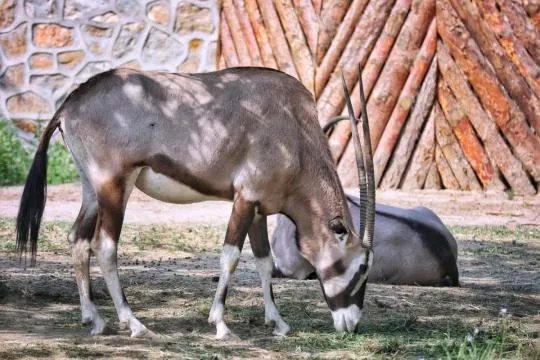 使用佳能微单M6是一种什么体验？