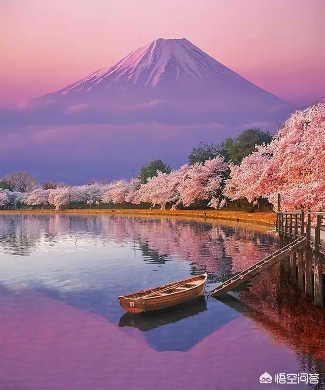 齐齐哈尔大学和中原工学院哪个好