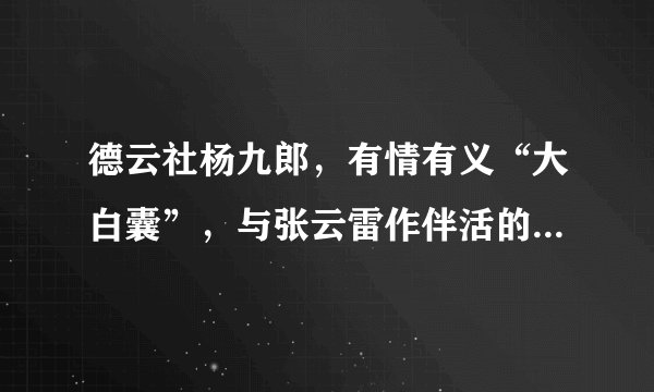 德云社杨九郎，有情有义“大白囊”，与张云雷作伴活的没羞没臊