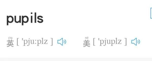 pupiLs用英语怎么读