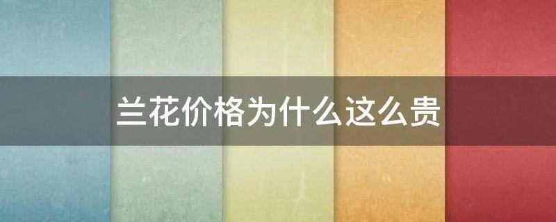 兰花价格为什么这么贵