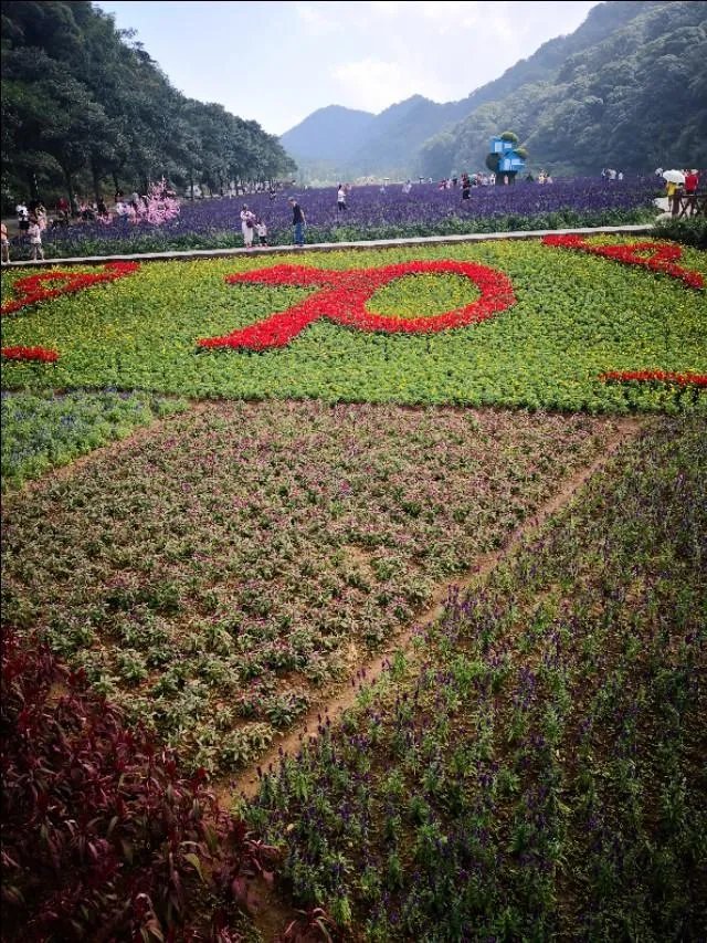 五一从化一日游去哪合适？