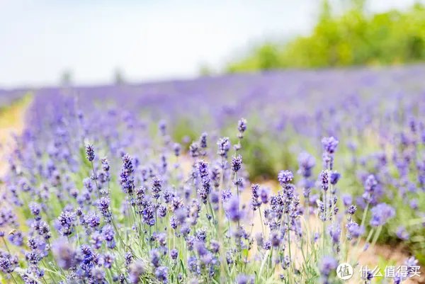 记一次黄河丹峡游记