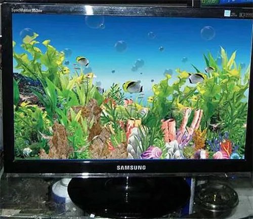 三星19寸液晶显示器分辨率多少 显示器性价比高牌子推荐