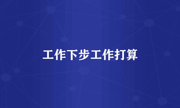 工作下步工作打算