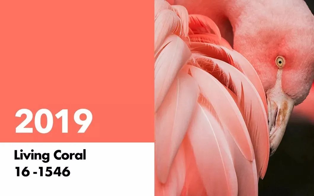 2020年流行色，太美了！