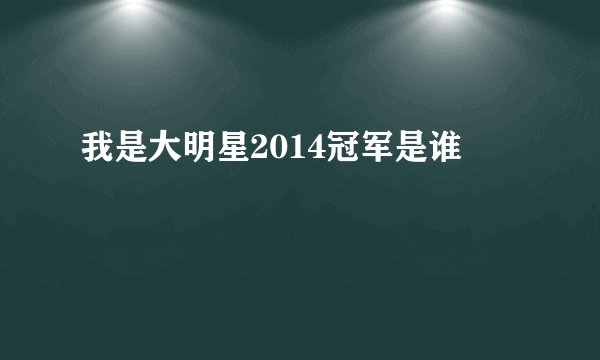 我是大明星2014冠军是谁