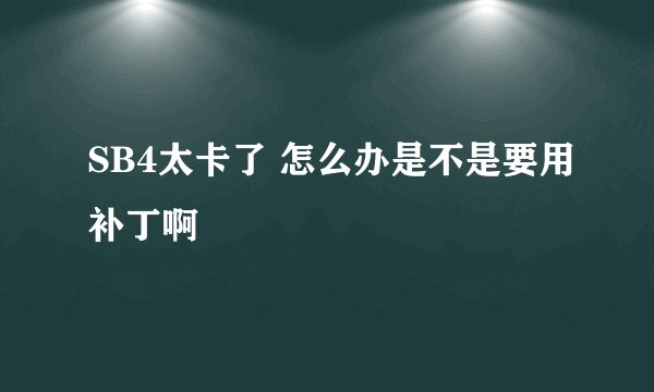 SB4太卡了 怎么办是不是要用补丁啊
