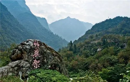 神农架深处到底有什么秘密，为何会成为禁区？