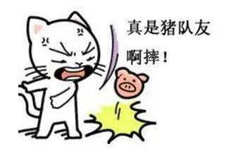 不怕神一样的对手，就怕猪一样的队友是什么意思？