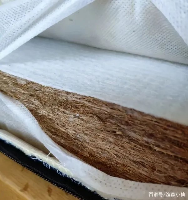 硬棕垫的胶水有毒么