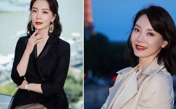 陈数的老公是谁啊及资料 为什么说陈数不能生育