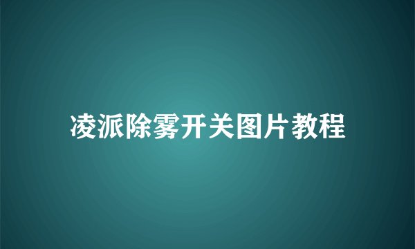 凌派除雾开关图片教程