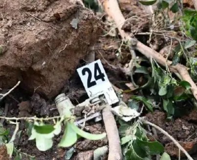 失事飞机的黑匣子找到了一部，找到后的黑匣子状态如何？