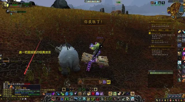 魔兽世界10.0宠物对战升级攻略