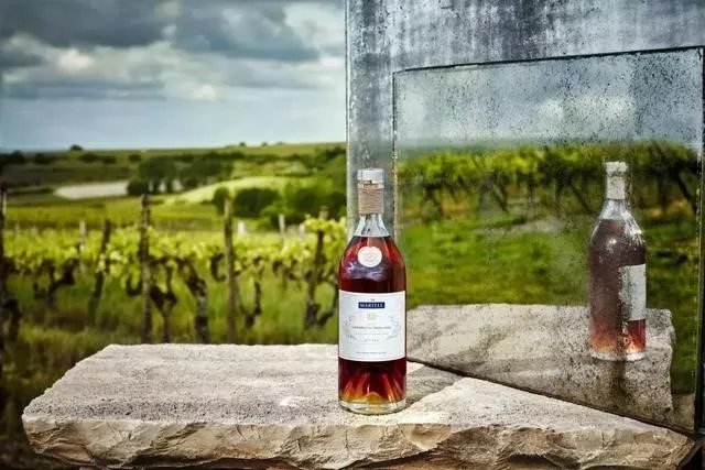 白兰地和威士忌有什么区别?